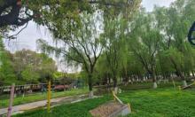 阳澄湖水上公园1