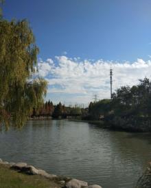 九里河湿地公园9