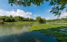 九里河湿地公园3