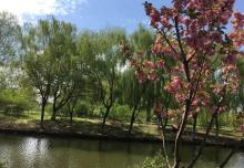 梁鸿湿地公园11