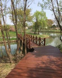 梁鸿湿地公园19