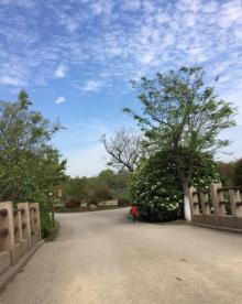 梁鸿湿地公园13