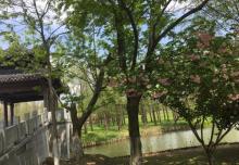 梁鸿湿地公园10