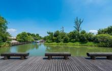 梁鸿湿地公园6