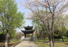 梁鸿湿地公园18