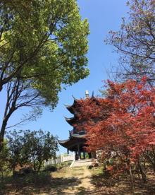 梁鸿湿地公园15