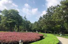 苏州公园20