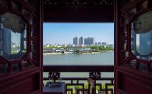 桂花公园8