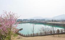 寿桃湖风景区6