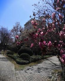鹅湖玫瑰文化园9