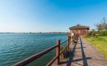 鹅湖玫瑰文化园5