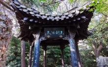 琼花观4