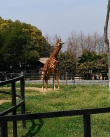 淮安动物园8