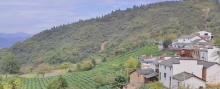 上金龙山2
