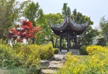 凤城河桃园11