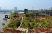 凤城河桃园1