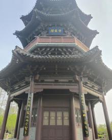 凤城河桃园12