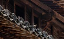 罗东舒祠18