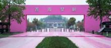 香海琴枫10