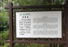 虎跑泉15