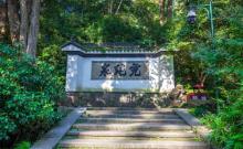 虎跑泉20