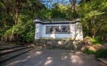 虎跑泉17