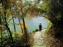 东黄山旅游度假区7