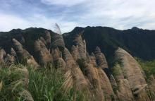 小佐村11