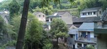 松阳博物馆2