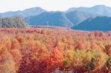 宣城宁国板桥自然保护区2