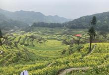 灵山梯田2