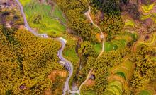 灵山梯田1