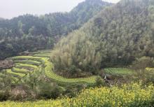 灵山梯田4