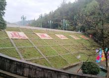 凤凰山森林公园3