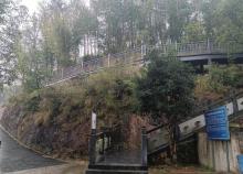 凤凰山森林公园4