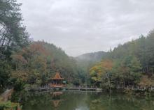 凤凰山森林公园2