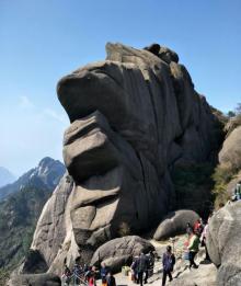 鲫鱼背7