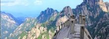 鲫鱼背3