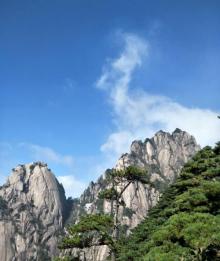 鲫鱼背8