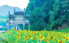 蜀源村4