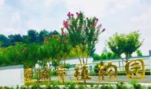 宣城植物园6