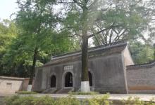 竹林景区5
