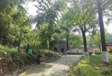 竹林景区3