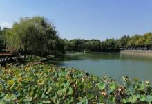 南湖西公园4