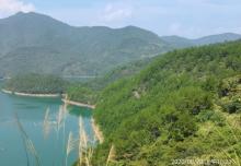 湖山森林公园4