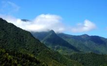炉岙村3