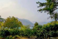 渡头村1