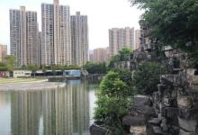 南岸景观公园3