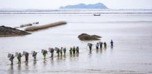 趣赶海旅游区3