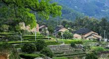 陈峭景区5